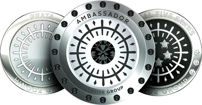 Pins de reconhecimento Hinode Group: Prata, Ambassador e Imperial Five Stars